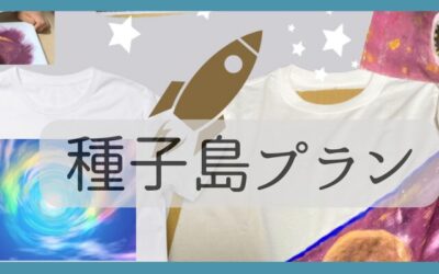 【種子島プラン】宇宙Tシャツ・海キャンバス・オリジナルミニトートバッグ作り、島時間満喫プラン